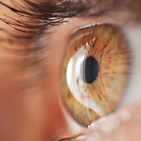 Intra-operative OCT imaging allows for automated ocular surface mapping and edge detection; Ocular structures are easily detected and even the smallest corneal layers can be identified. 